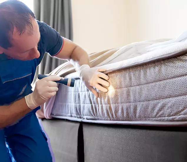 Trusted Bed Bug Cost Experts in Annandale, VA