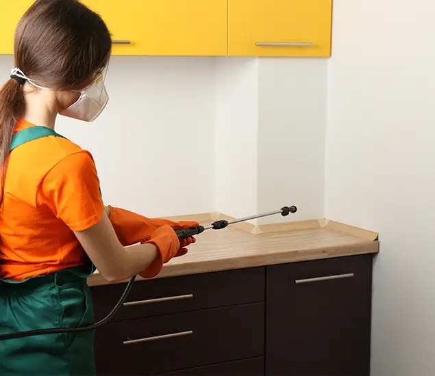 Trusted Bed Bug Pest Control Specialist in Annandale, VA
