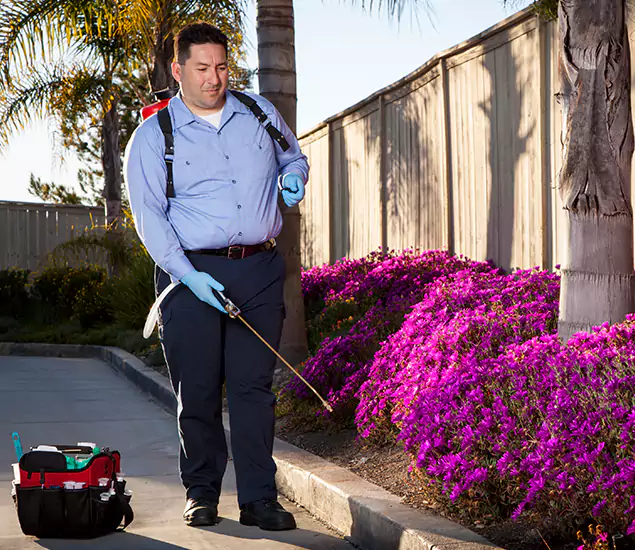 About Our Eco Safe Pest Control Experts in Annandale, VA