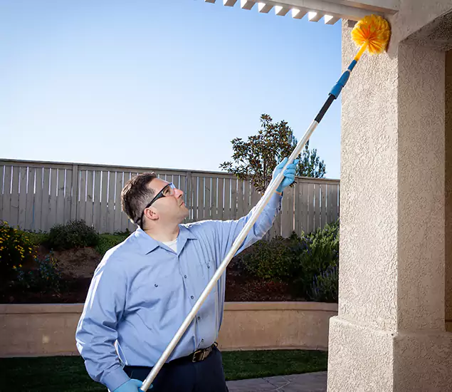 Trusted Experts in Annandale VA for Formosan Termite Treatment and Black Termite Control