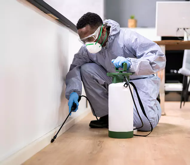 Leading Industrial Pest Control Experts Serving Annandale, VA