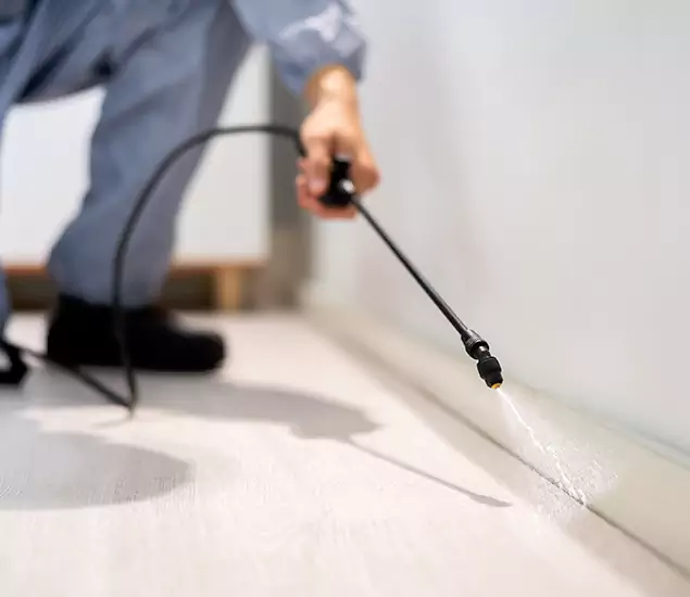 About Our Liquid Termite Treatment Experts in Annandale, VA
