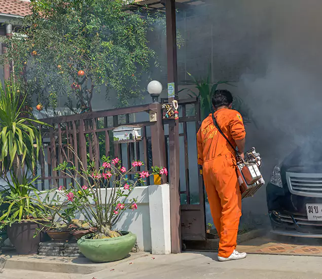 Your Proven Mosquito Fogging Company in Annandale, VA