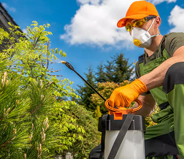 Your Best Bug Spray for Home Team in Annandale, VA