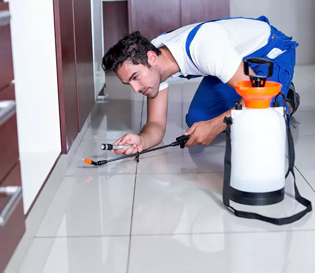 Reliable Professional Mouse Removal: Your Best Mouse Control Company in Annandale, VA