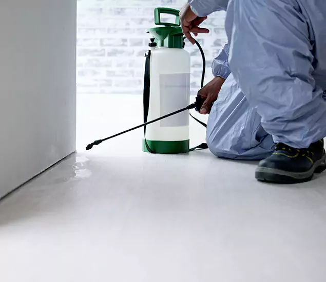 Affordable Pest Control Experts in Annandale, VA