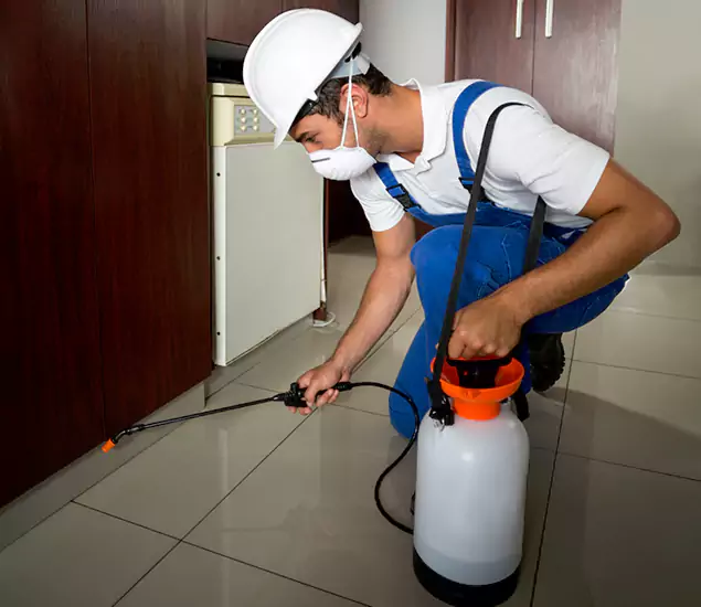 Advanced Termite Pre Treatment Experts in Annandale, VA