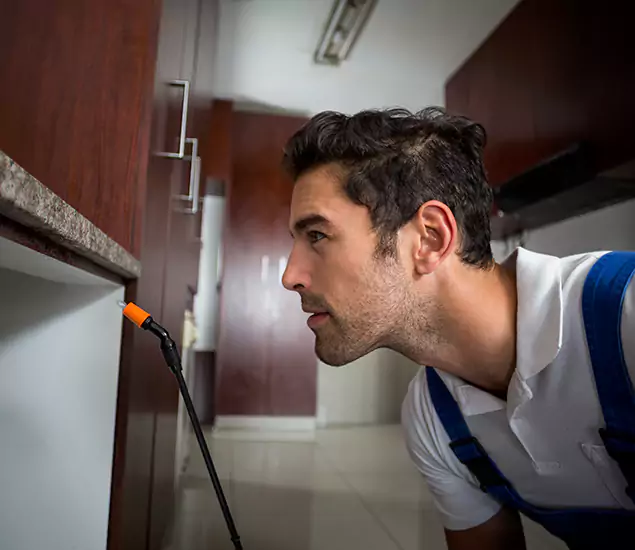 Expert Rodent in Attic Removal: Your Proven Pest Specialists in Annandale, VA