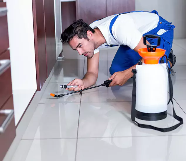 Advanced Slab Termite Treatment Experts You Can Trust&nbsp;in Annandale, VA