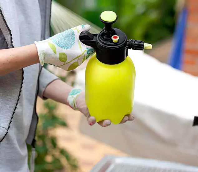 Skilled Residential Small Black Ant Service in Annandale, VA
