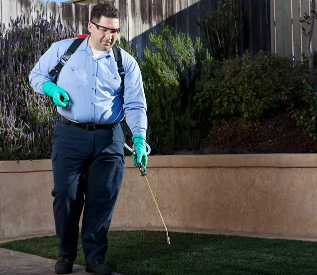 Reliable Termite Barrier Treatment Experts in Annandale, VA