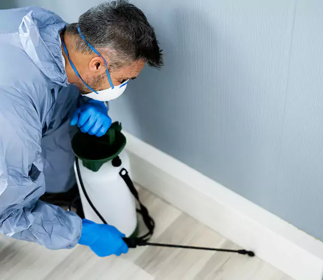 Reliable Termite Cost Experts in Annandale, VA