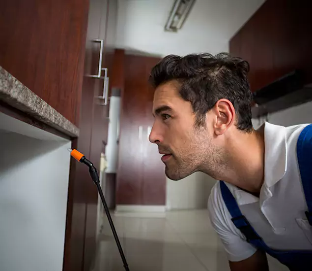 Termite Inspection Cost Experts You Can Trust in Annandale, VA