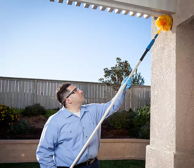 Your Trusted Wasp Removal Company in Annandale, VA
