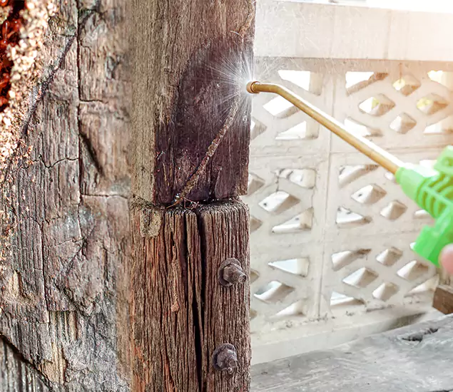 About Wood Termite Treatment Services in Annandale, VA