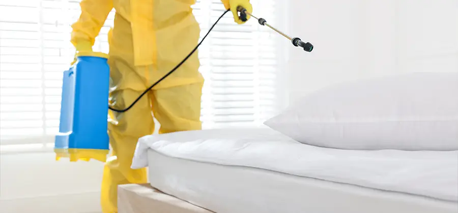 Targeted Chemical Application in Annandale
