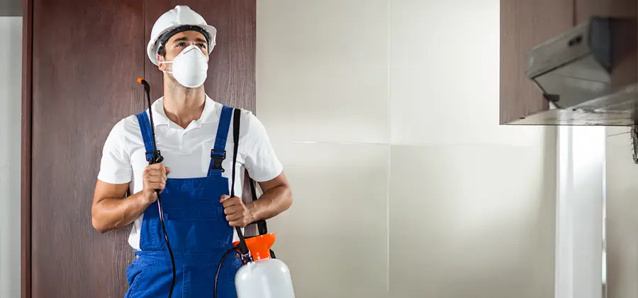 Per Room Bed Bug Cost in Annandale