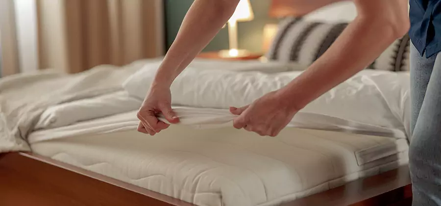 Bed Bug Extermination Services in Annandale