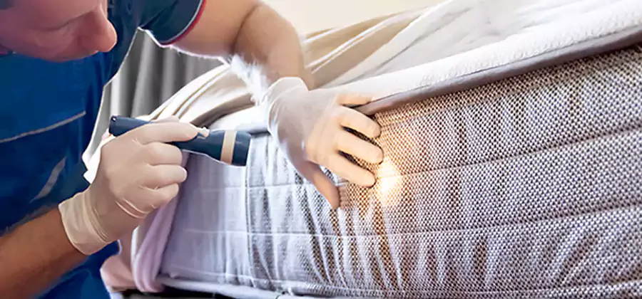 Residential Bed Bug Treatment Cost in Annandale
