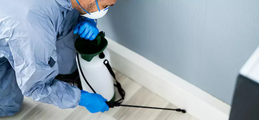 Fumigate Apartment Roaches in Annandale