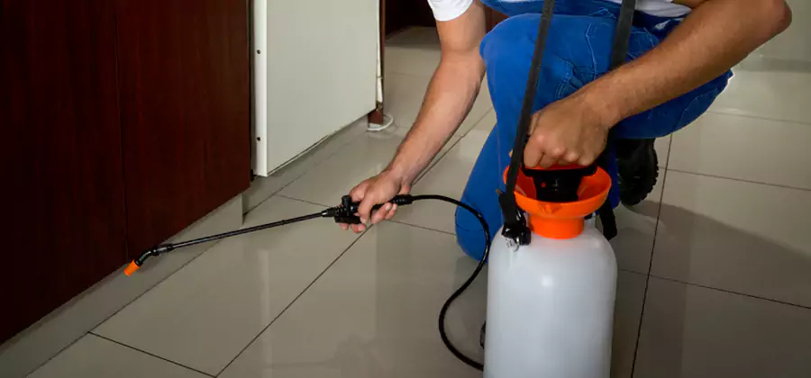Indoor Mosquito Treatment in Annandale