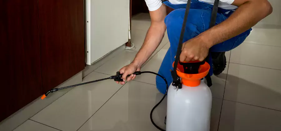 Indoor Insect Killer Solutions in Annandale