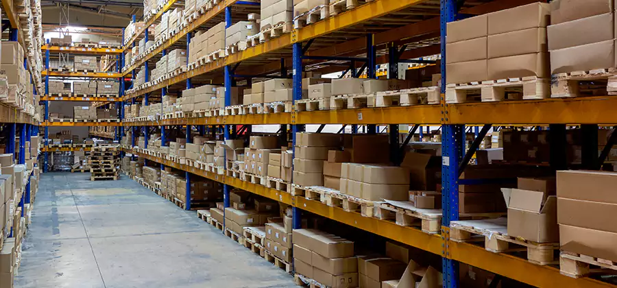 Warehouse Pest Control in Annandale