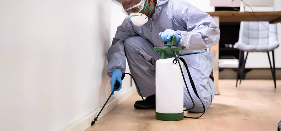 Long Lasting Mosquito Treatment in Annandale