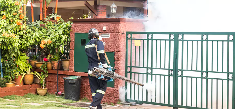 Backyard Mosquito Foggers Service in Annandale