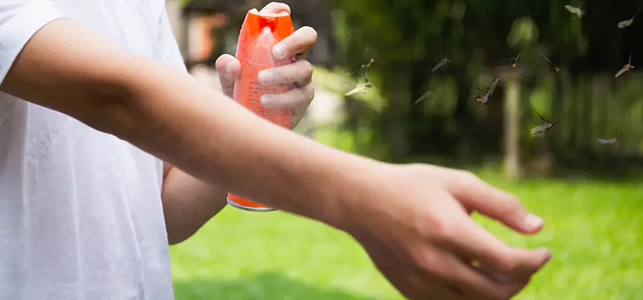 Mosquito and Tick Control Services in Annandale