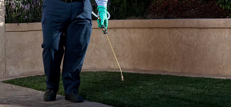 Soil Treatment for New Construction Termites in Annandale