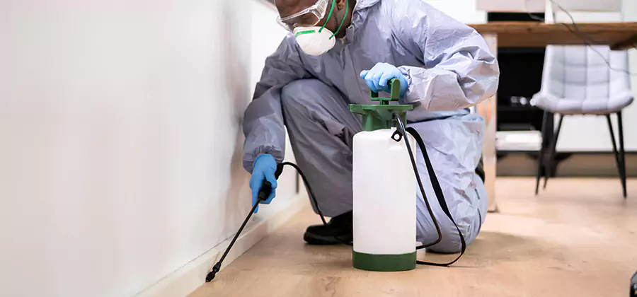 No Tent Termite Extermination With Electric Tool in Annandale