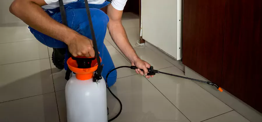 One Time Termite Control in Annandale