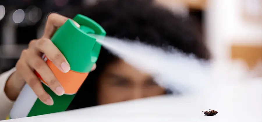 Child Safe Bed Bug Treatment in Annandale