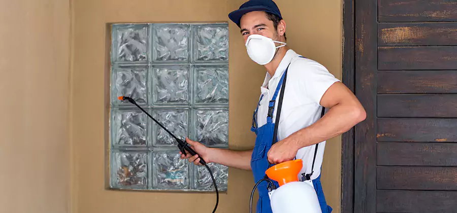 Physical Termite Barrier Installation in Annandale
