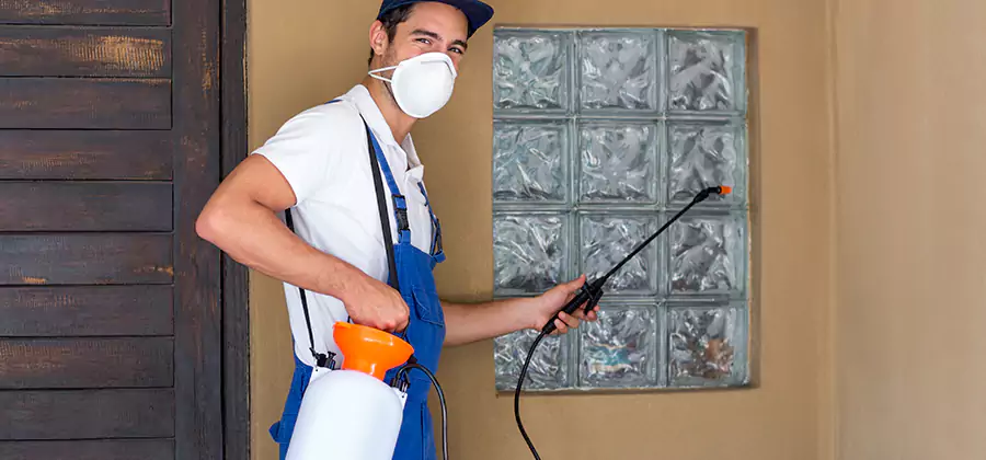 Pre-Construction Termite Treatment in Annandale