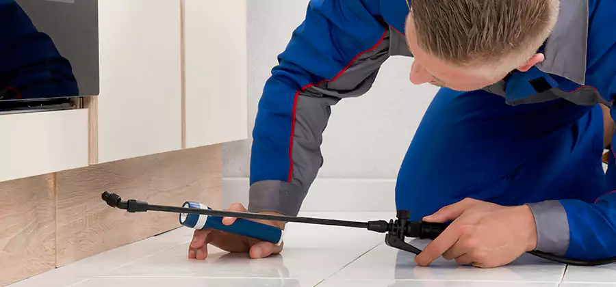 Moisture Treatment For Termite Control Service in Annandale