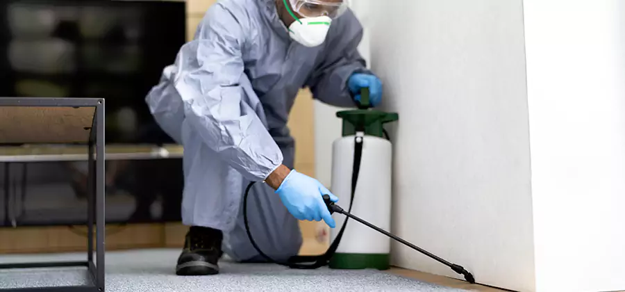 Wood Protection Termite Treatment in Annandale