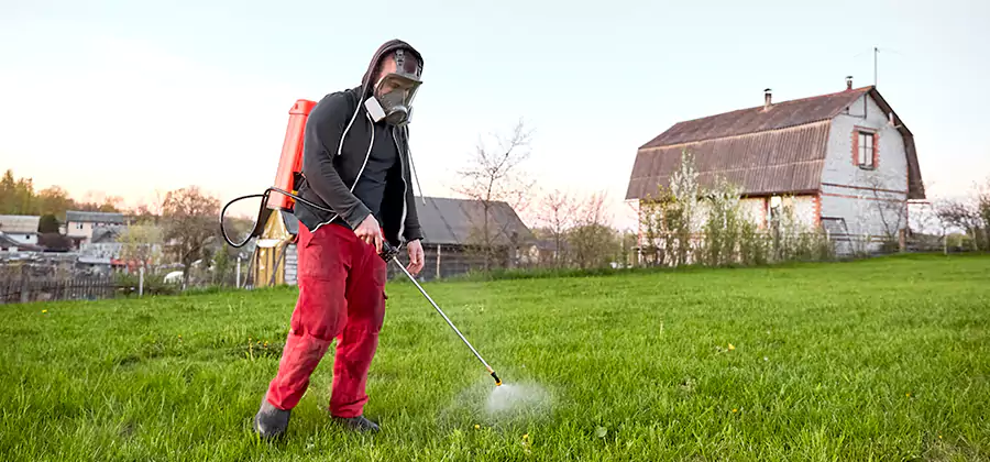 Flea and Tick Pest Control in Annandale