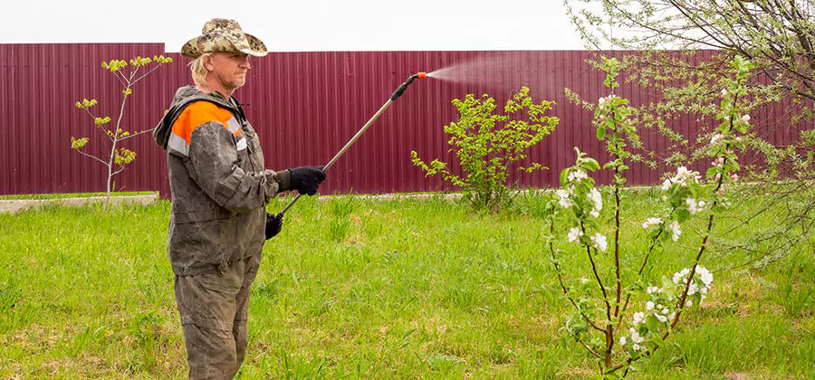 Flea and Tick Spray for Yard in Annandale