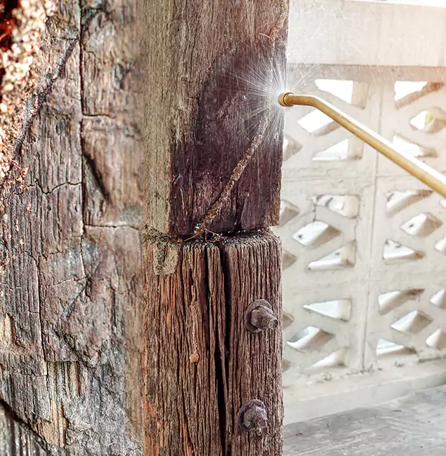Why Choose Annandale Pest Control Pro for Attic Termite Treatment in Annandale, VA?