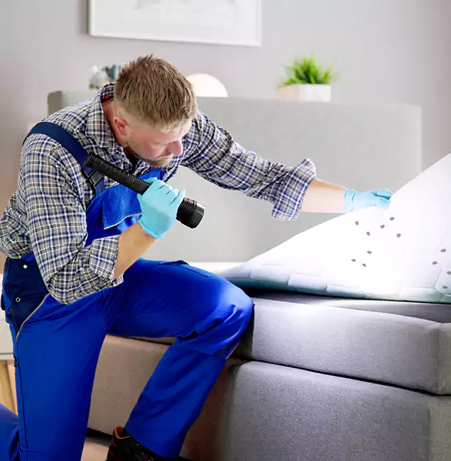 Why Choose Annandale Pest Control Pro for Bed Bug Exterminator Cost in Annandale, VA?