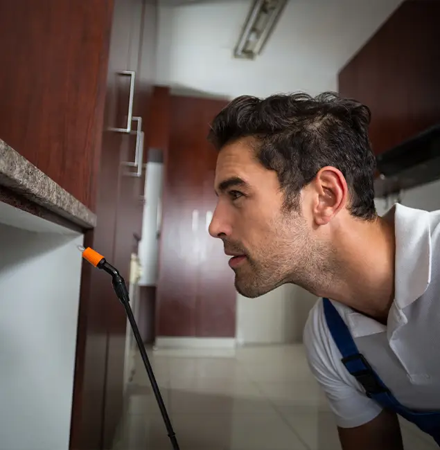 Why Choose Annandale Pest Control Pro for Bed Bug Removal Cost in Annandale, VA?