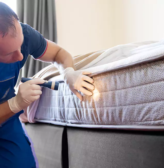 Why Choose Annandale Pest Control Pro for Bed Bug Services in Annandale, VA?
