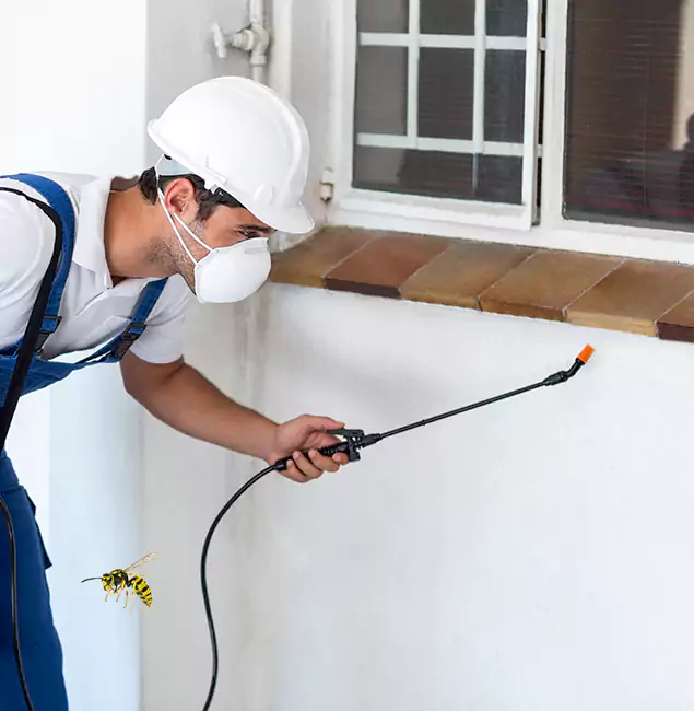 Why Annandale Property Owners Choose Annandale Pest Control Pro for Bee Nest Removal?