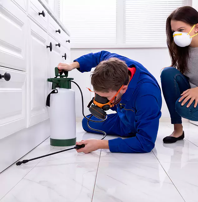 Why Choose Annandale Pest Control Pro in Annandale, VA?