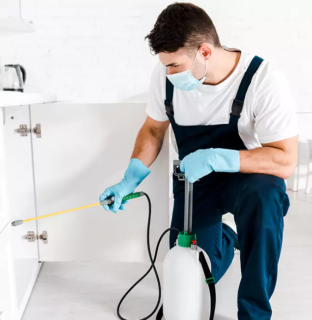 Why Choose Annandale Pest Control Pro for Emergency Pest Control in Annandale?