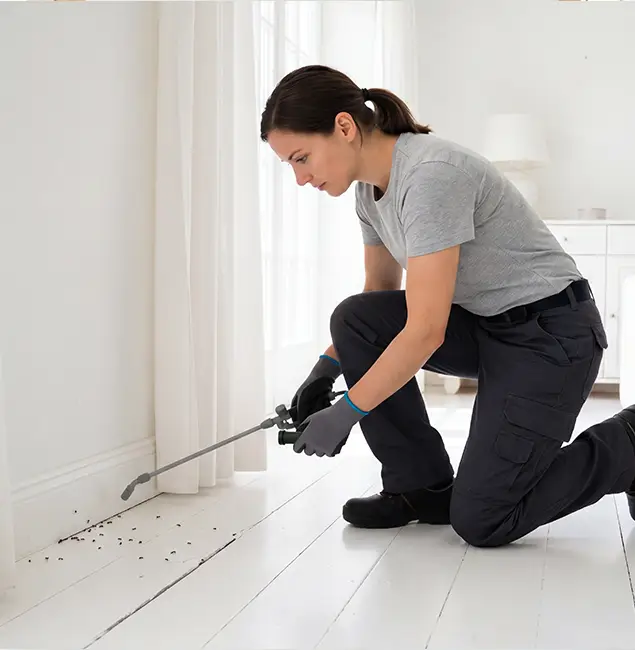 Why Annandale, VA Property Owners Trust Annandale Pest Control Pro for Fire Ant Control?
