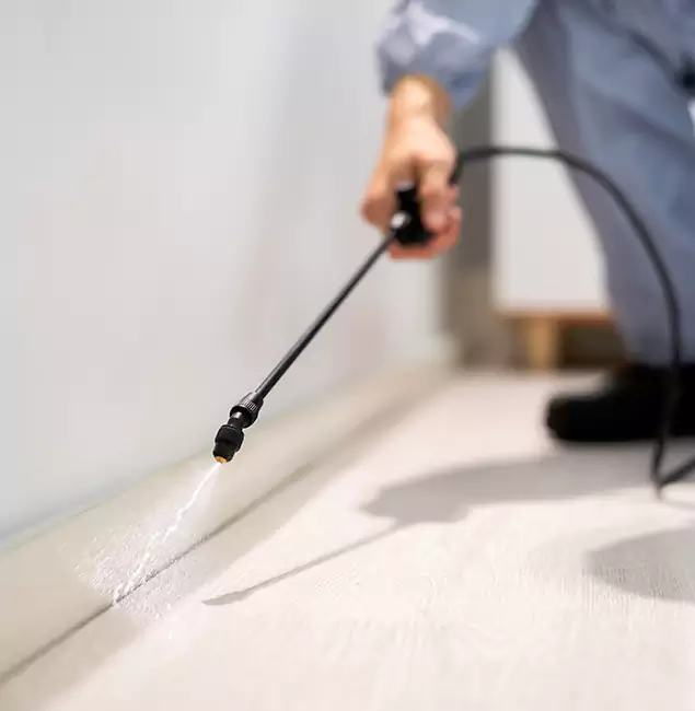 Why Choose Annandale Pest Control Pro for Termite Treatment in Annandale, VA?