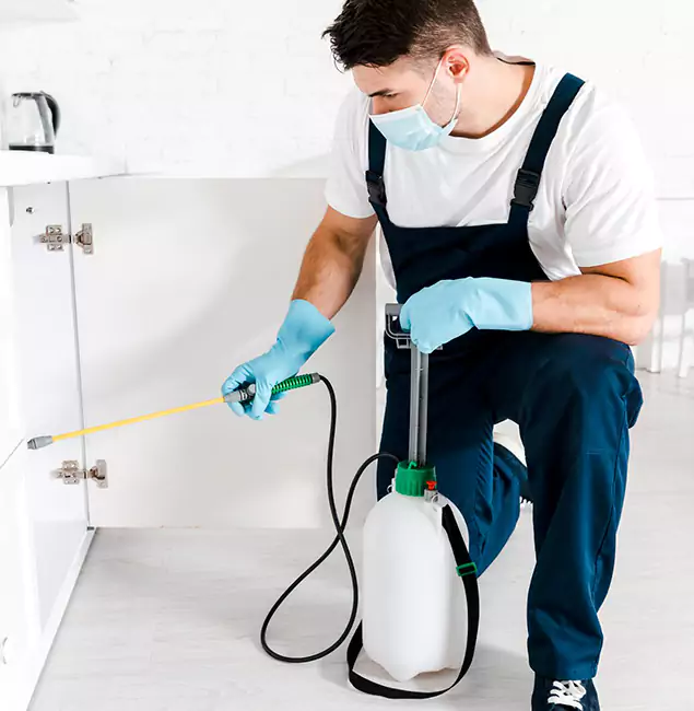 Why Annandale, VA Homeowners Trust Us for German Roach Control?